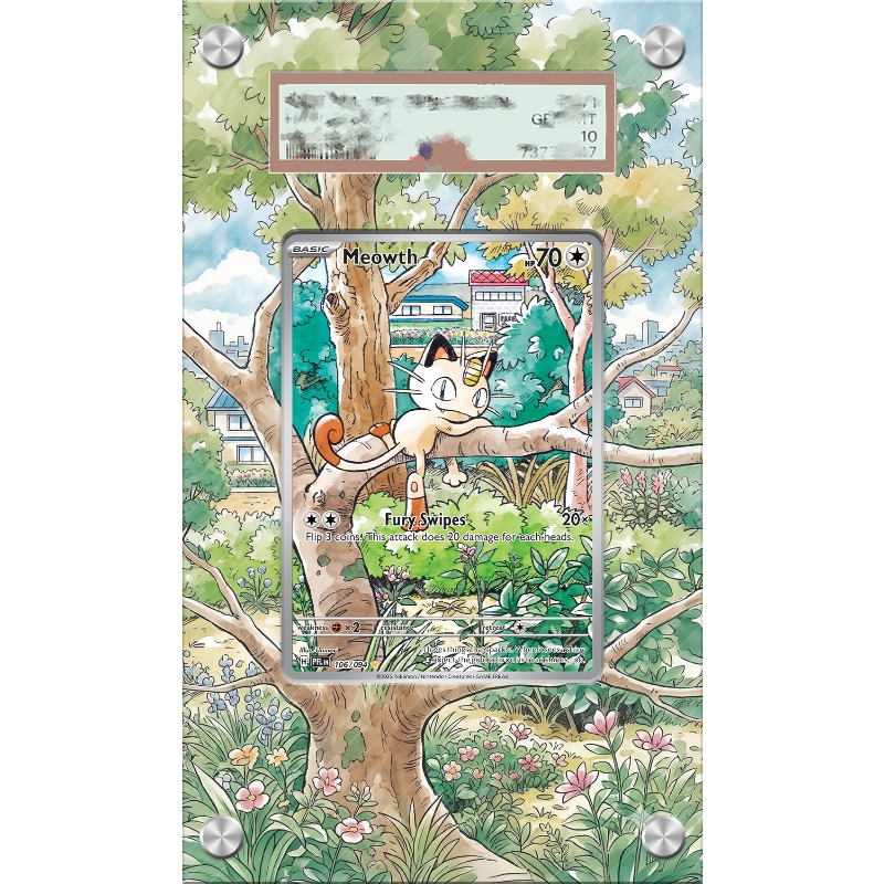 Акриловый защитный футляр для  – обзор и цена Anime Merchandise From Japan